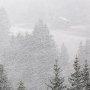 tempête de neige sur les hauteurs de Brison - Bornes - Hte Savoie
