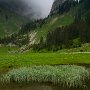 Le lac de Bise - Chablais - Hte Savoie