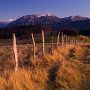 le plateau des Creusattes et le Mt Colombier - Bauges - Savoie