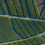 les vignes de Chignin depuis le Roc Tormery - Bauges - Savoie