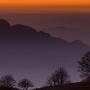 Une vue un peu inédite de la Dent du Chat, depuis un talus sans nom de la partie nord du plateau du Revard. La brume en vallée, les arbres en filigrane et le crépuscule automnal ... j'adore.