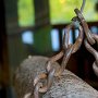 Eco-musée du bois à Thônes - Hte Savoie
